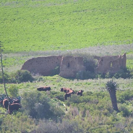 ברדאסדורפ Old Sam'S Cottage מראה חיצוני תמונה
