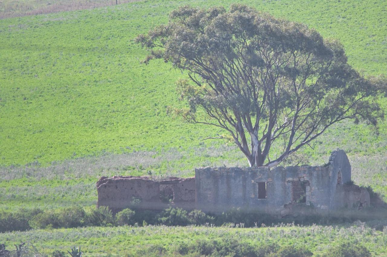 ברדאסדורפ Old Sam'S Cottage מראה חיצוני תמונה