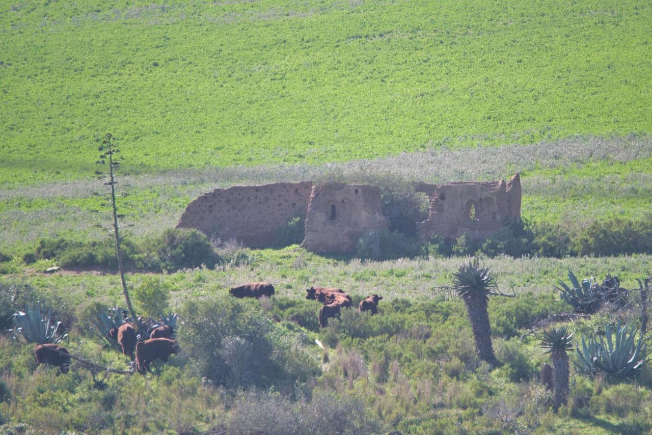 ברדאסדורפ Old Sam'S Cottage מראה חיצוני תמונה